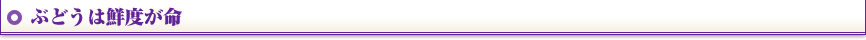 ぶどうは鮮度が命