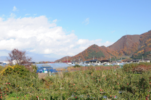 信州長野市はぶどう栽培の最適地