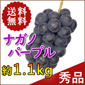 ぶどう革命！ナガノパープル