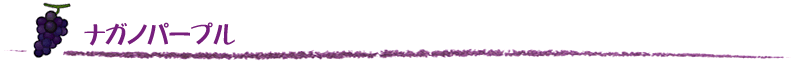ナガノパープル