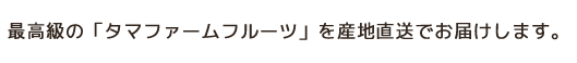 最高級の「タマファームフルーツ」を産地直送でお届けします。朝収穫し、その日のうちに発送いたします。